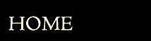 alternative text
